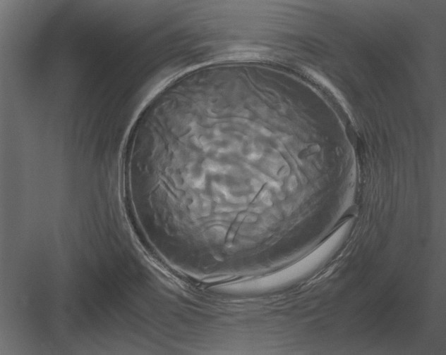 X0000084011467200702232151