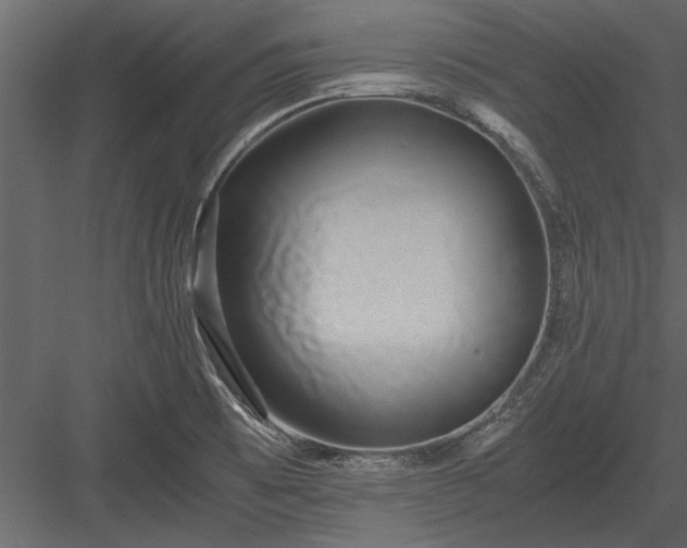 X0000084011473200702232151