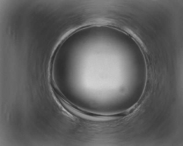 X0000084011477200702232151