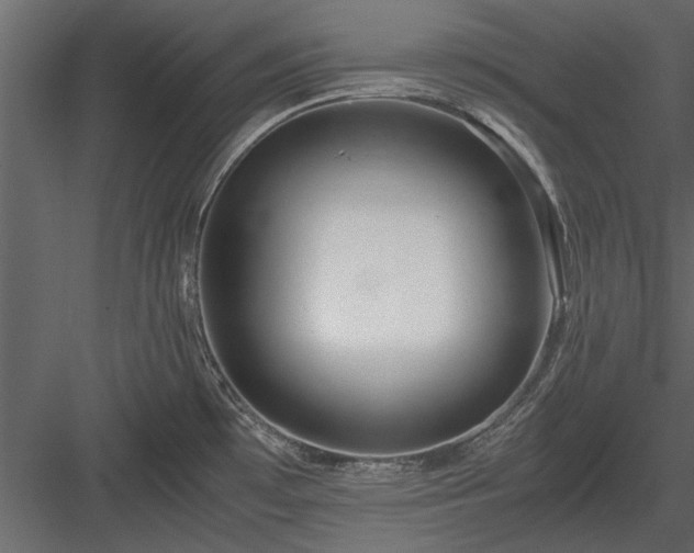 X0000084011481200702232151