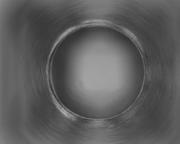 X0000084011482200702232151