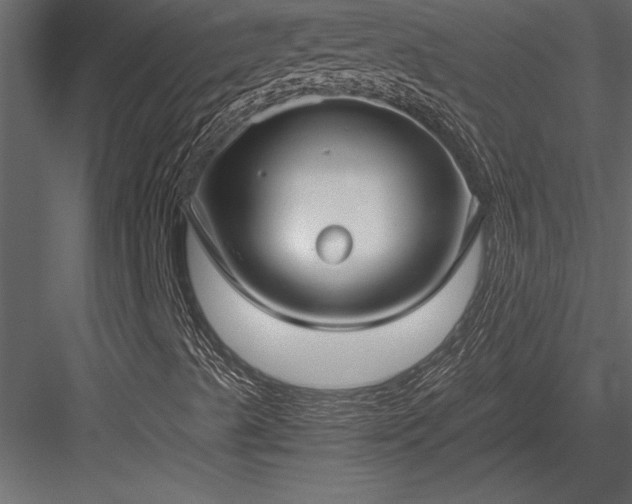 X0000084011489200702232150