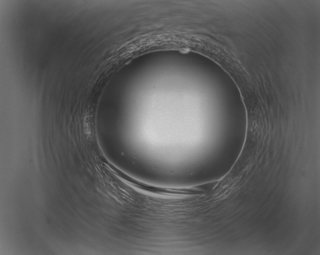 X0000084011490200702232150
