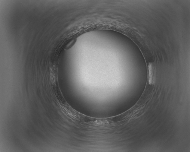 X0000084011491200702232150