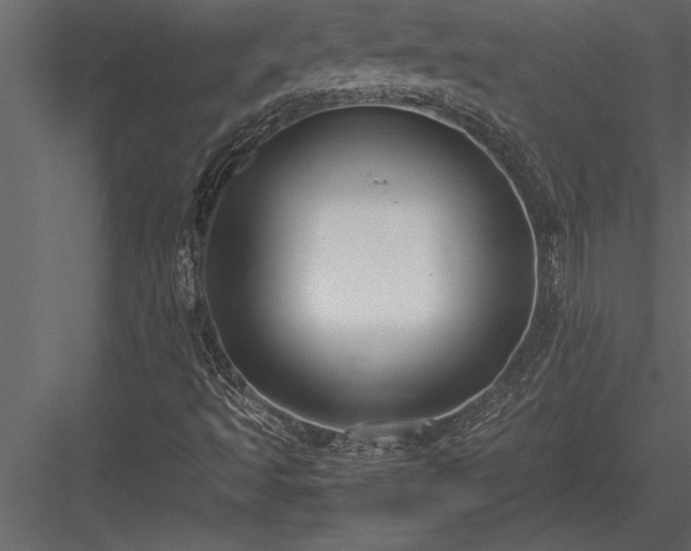 X0000084011493200702232150