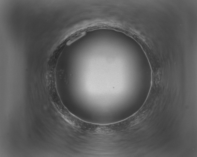 X0000084011496200702232150
