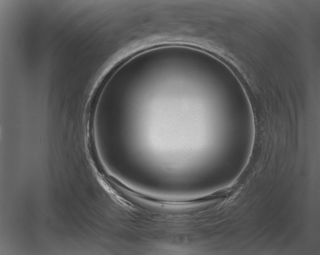 X0000084011511200702232150