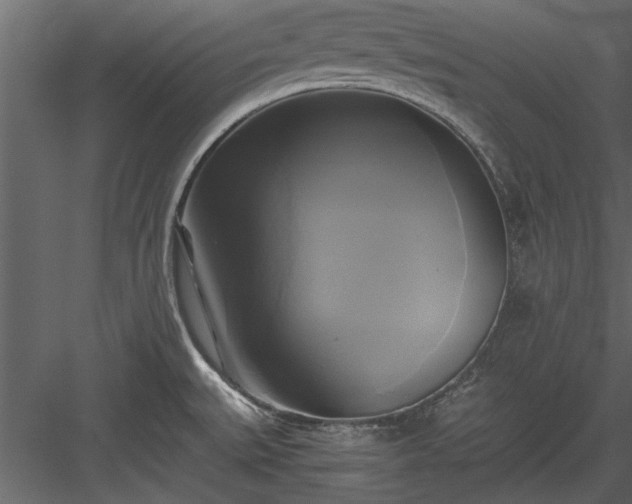 X0000084011527200702232151