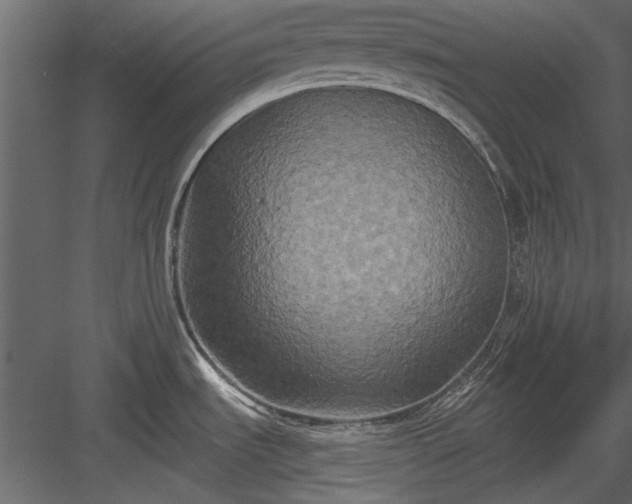 X0000084011535200702232151