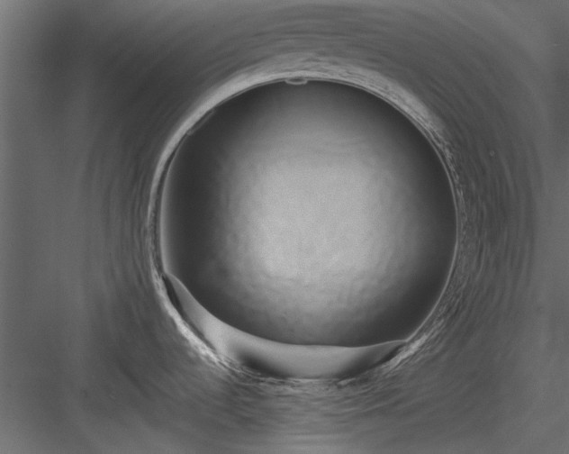 X0000084011536200702232151