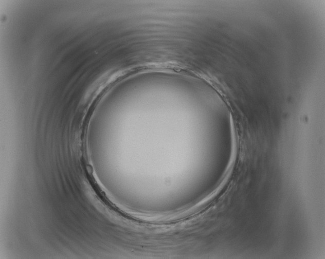 X0000084010002200703022043