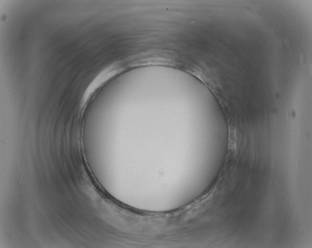 X0000084010004200703022043