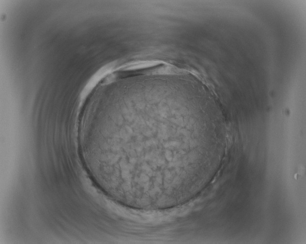 X0000084010006200703022043