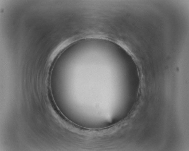 X0000084010007200703022043