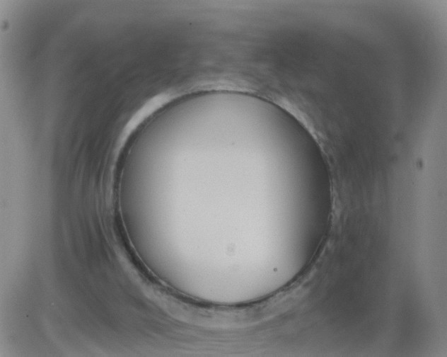 X0000084010008200703022043