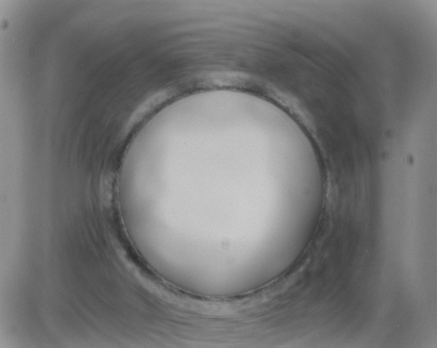 X0000084010010200703022043