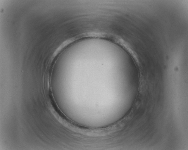 X0000084010011200703022043