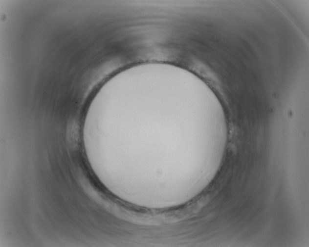 X0000084010012200703022043