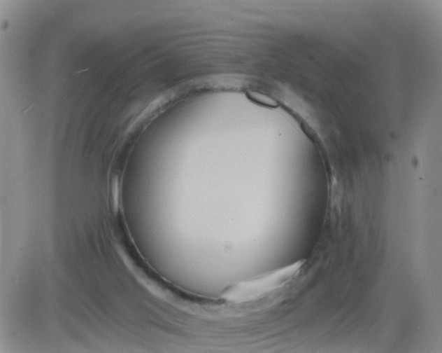 X0000084010013200703022043