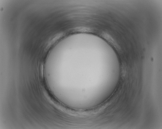 X0000084010014200703022043