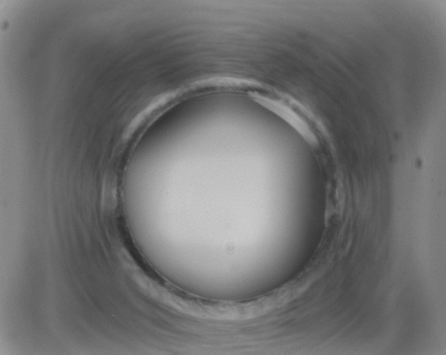 X0000084010015200703022043