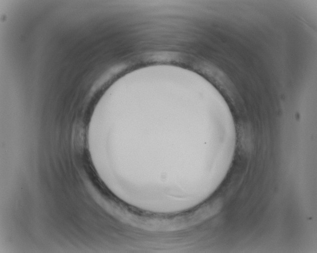 X0000084010016200703022043