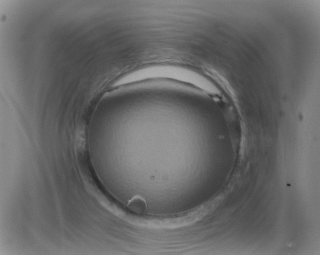 X0000084010017200703022043