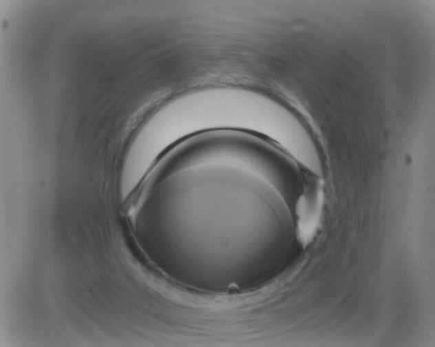 X0000084010019200703022043