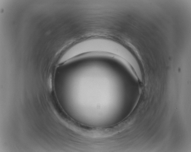 X0000084010020200703022043