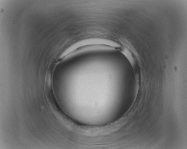 X0000084010021200703022043