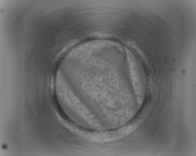 X0000084010024200703022043