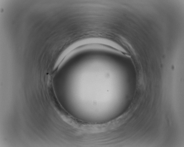 X0000084010025200703022043