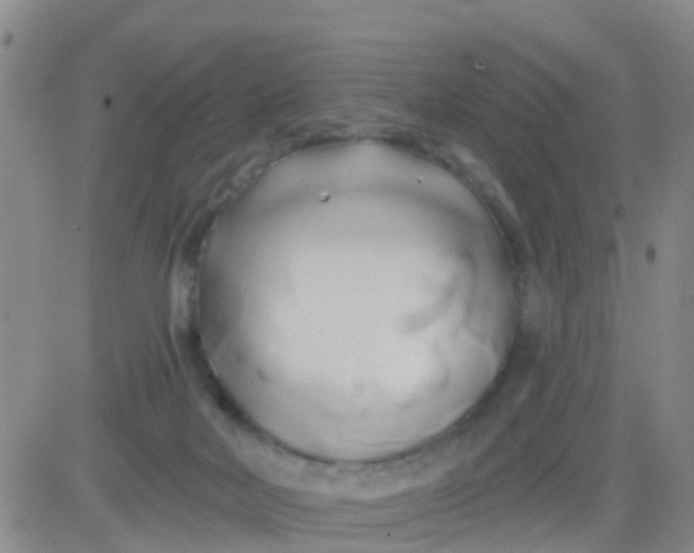 X0000084010026200703022043