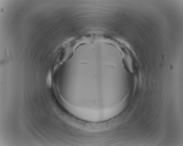 X0000084010027200703022043