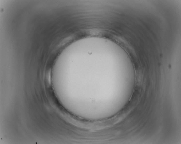 X0000084010028200703022043