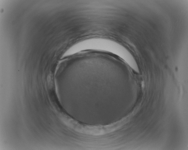 X0000084010029200703022043