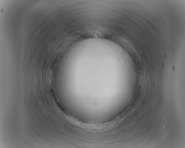 X0000084010030200703022043