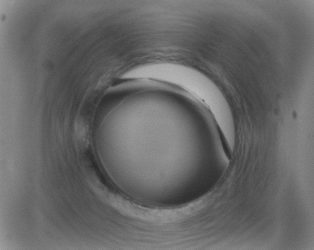 X0000084010031200703022043