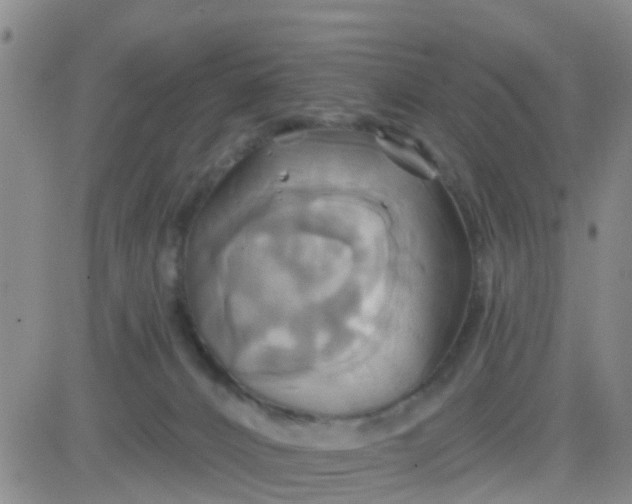 X0000084010032200703022043