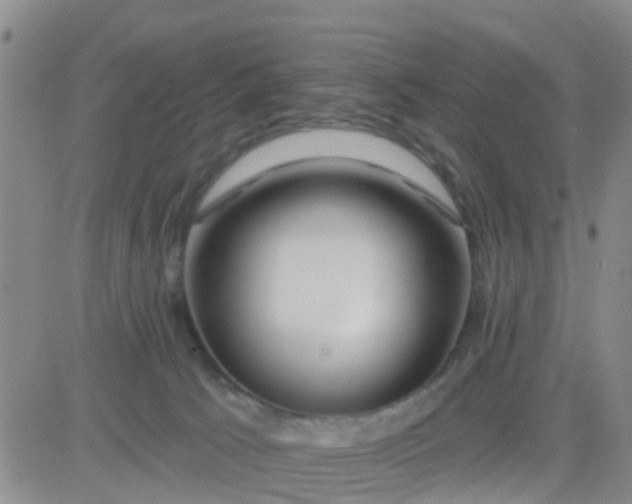 X0000084010033200703022043