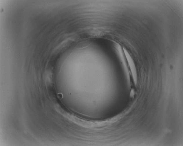 X0000084010035200703022043