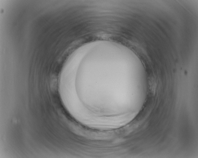 X0000084010036200703022043