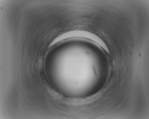 X0000084010037200703022043