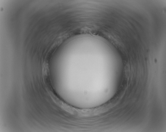 X0000084010038200703022043