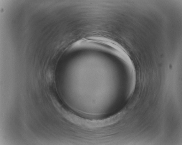 X0000084010039200703022043