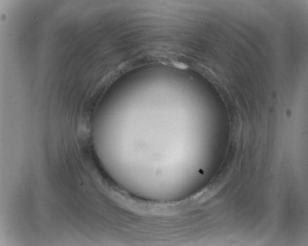 X0000084010040200703022042