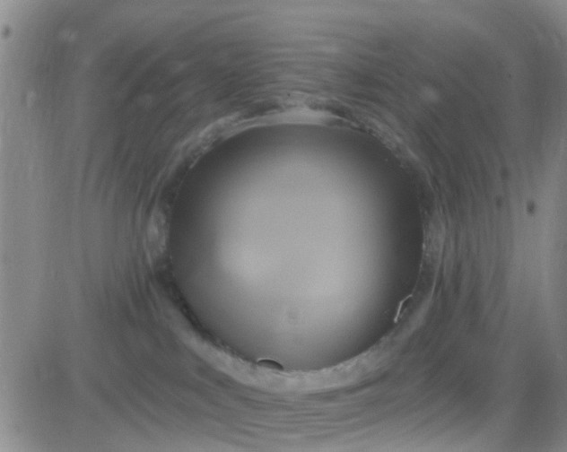 X0000084010043200703022042