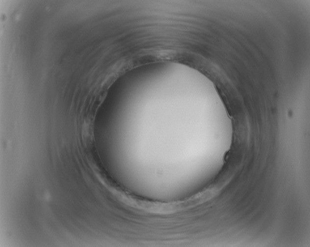 X0000084010044200703022042