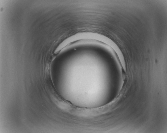 X0000084010045200703022042