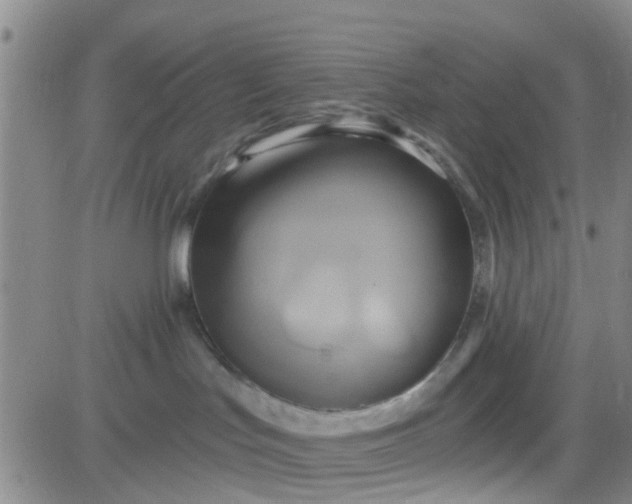 X0000084010047200703022042